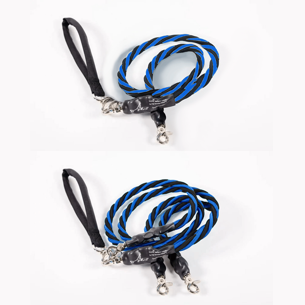 🔥🐕Double Bungee Leash - 1st step training tool