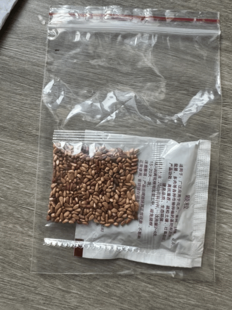 🌹Climbing Vine Rose Flower Seeds