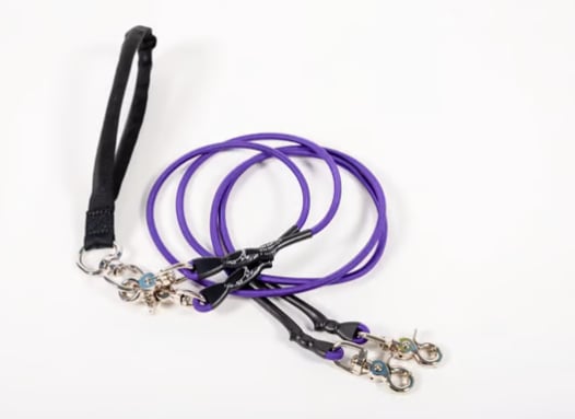 🔥🐕Double Bungee Leash - 1st step training tool