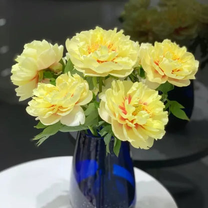 🔥🌺THE QUEEN OF FLOWERS—DOUBLE PETALED PIANI SEEDS