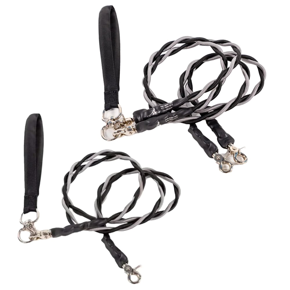 🔥🐕Double Bungee Leash - 1st step training tool