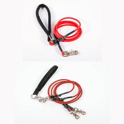 🔥🐕Double Bungee Leash - 1st step training tool
