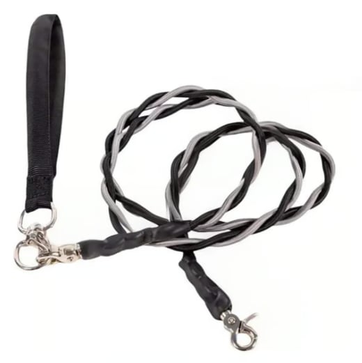 🔥🐕Double Bungee Leash - 1st step training tool