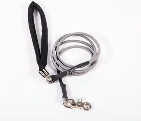 🔥🐕Double Bungee Leash - 1st step training tool