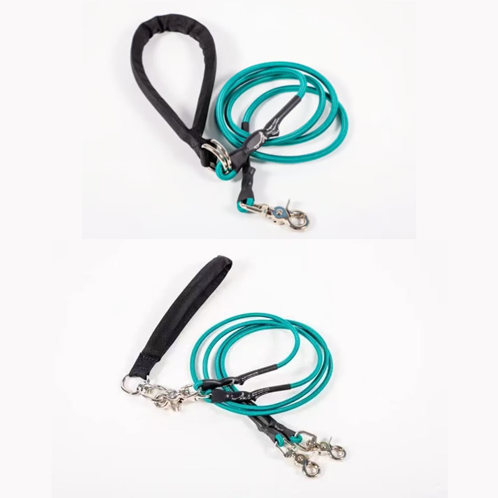 🔥🐕Double Bungee Leash - 1st step training tool