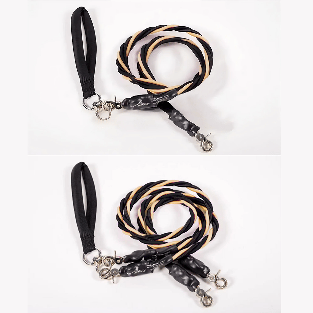 🔥🐕Double Bungee Leash - 1st step training tool