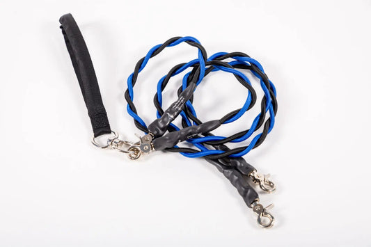 🔥🐕Double Bungee Leash - 1st step training tool