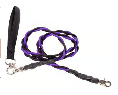 🔥🐕Double Bungee Leash - 1st step training tool