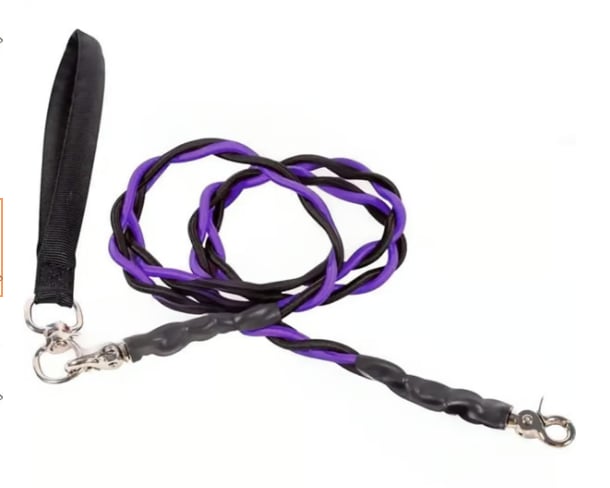 🔥🐕Double Bungee Leash - 1st step training tool