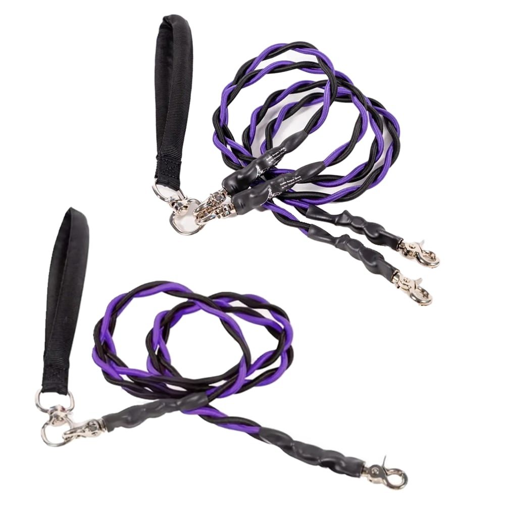 🔥🐕Double Bungee Leash - 1st step training tool