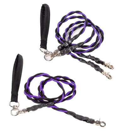 🔥🐕Double Bungee Leash - 1st step training tool