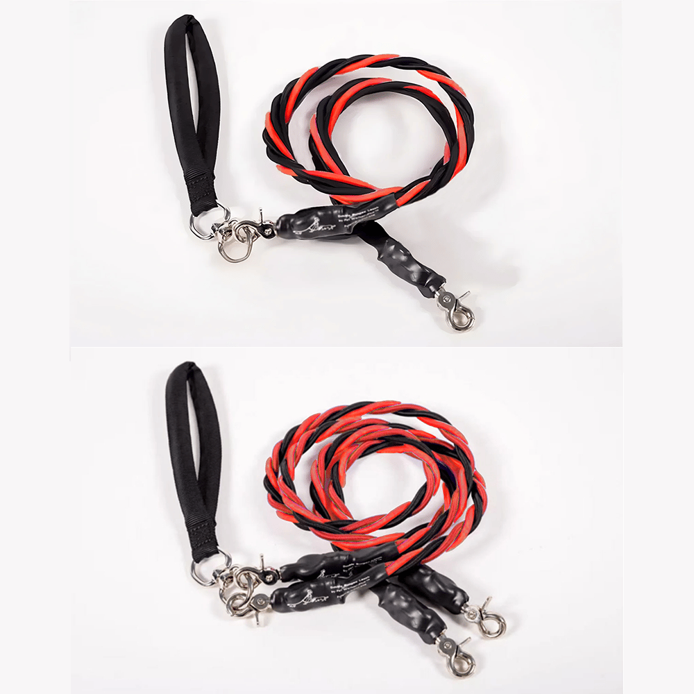 🔥🐕Double Bungee Leash - 1st step training tool