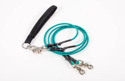 🔥🐕Double Bungee Leash - 1st step training tool