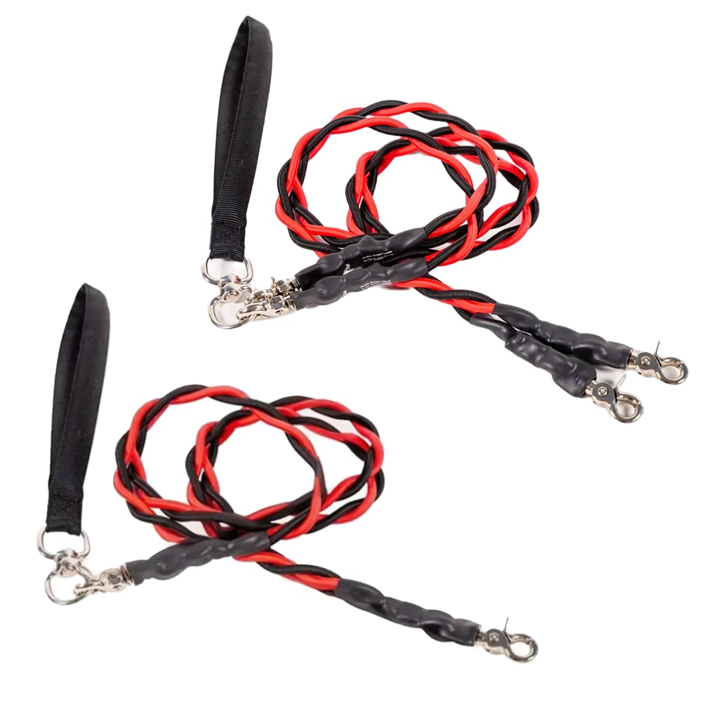 🔥🐕Double Bungee Leash - 1st step training tool
