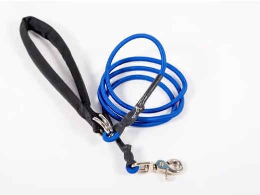 🔥🐕Double Bungee Leash - 1st step training tool