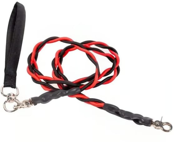 🔥🐕Double Bungee Leash - 1st step training tool