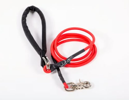 🔥🐕Double Bungee Leash - 1st step training tool