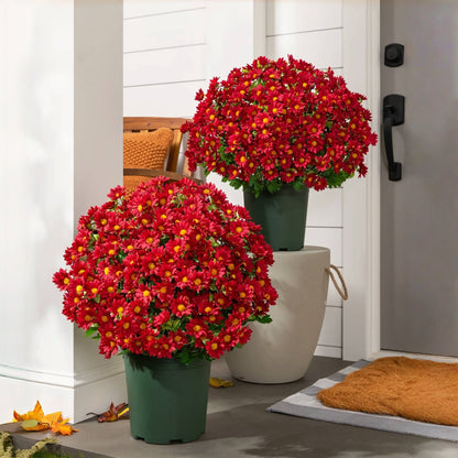 🏆Flash Sale⚡Artificial Outdoor Sunset Mums Flowers - UV resistant, Waterproof, Windproof