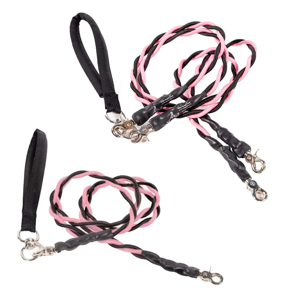 🔥🐕Double Bungee Leash - 1st step training tool